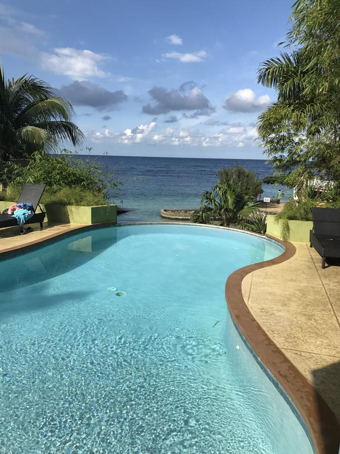 Alexanders Penthouse On The Beach Ocho Rios Ngoại thất bức ảnh