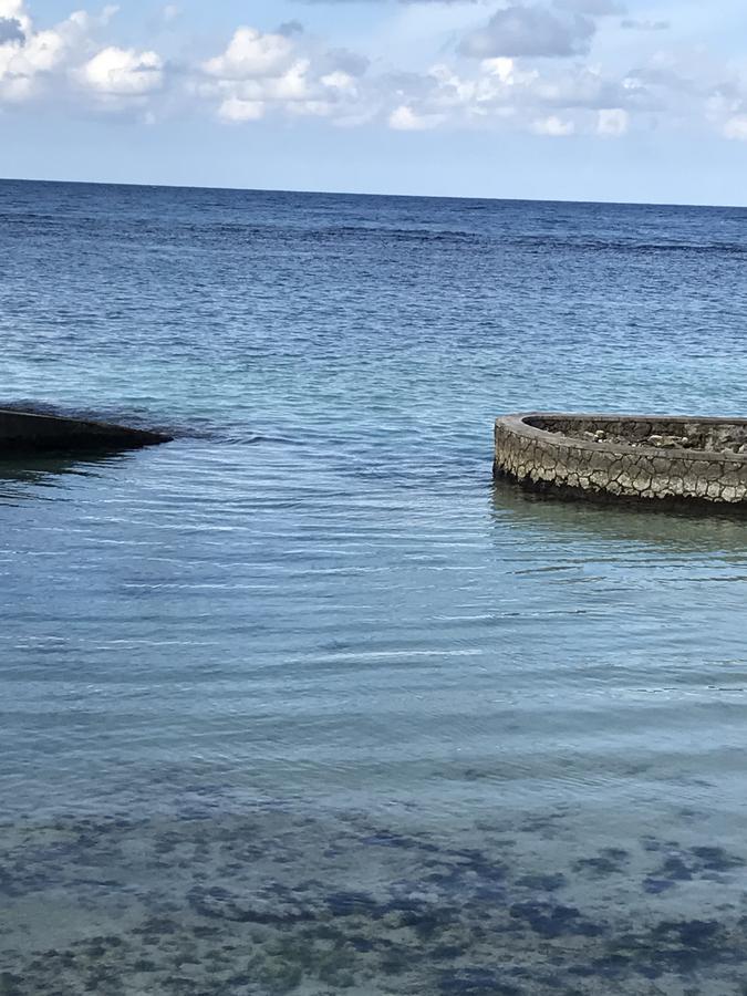 Alexanders Penthouse On The Beach Ocho Rios Ngoại thất bức ảnh